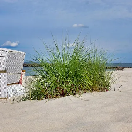 Apartamento Ostsee 314 *